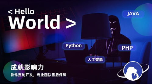 系統定制開發