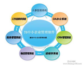 【用友t6-中小企業管理軟件】_
